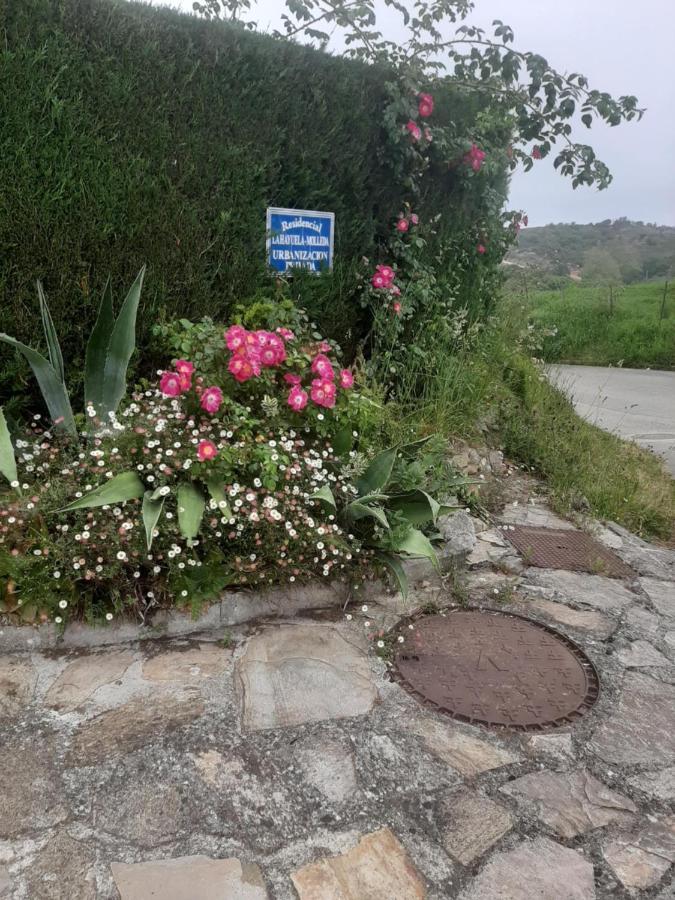 Casa La Hayuela Molleda Βίλα Εξωτερικό φωτογραφία